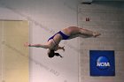 Women's Diving  Wheaton College Women’s Diving vs Mount Holyoke College. - Photo by Keith Nordstrom : Wheaton, Swimming & Diving